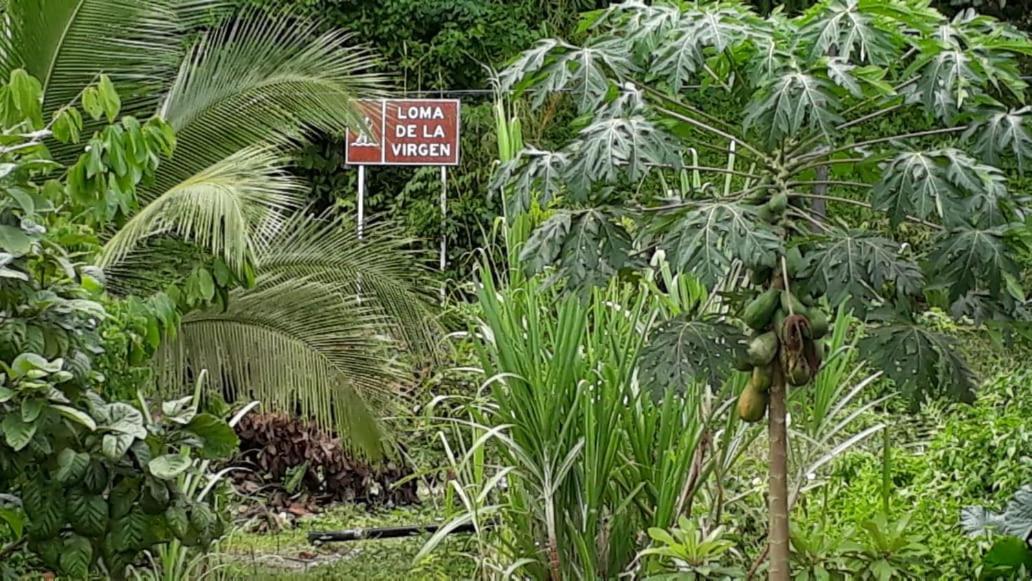 Posada El Acuario 巴亚索拉诺 外观 照片