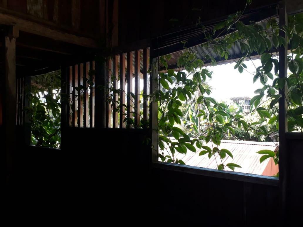 Posada El Acuario 巴亚索拉诺 外观 照片