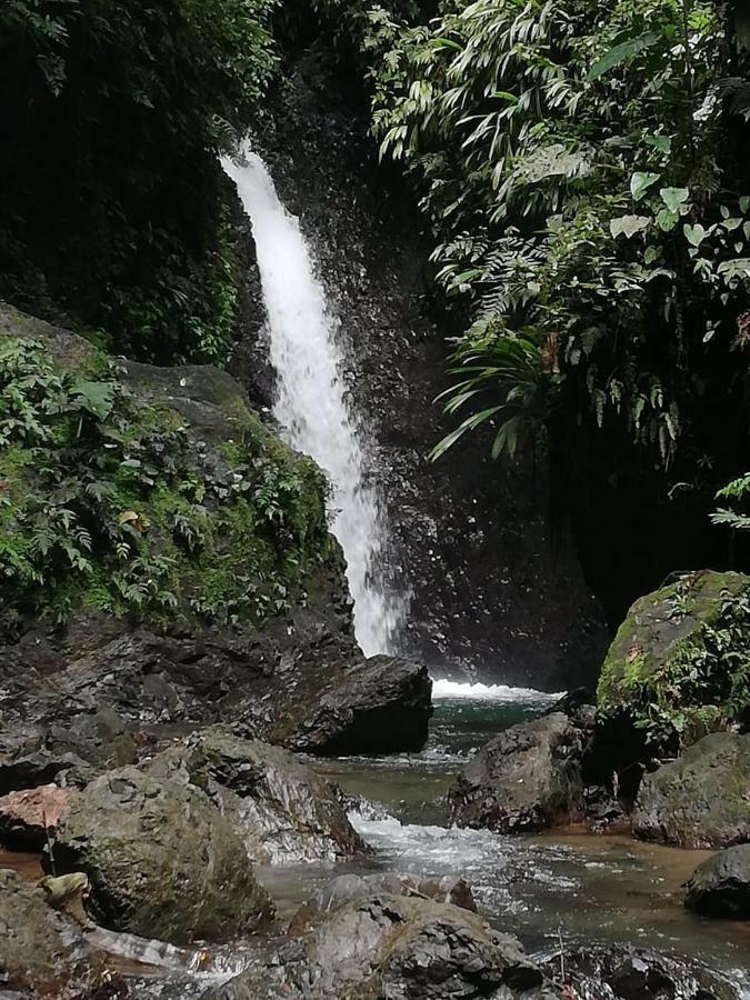 Posada El Acuario 巴亚索拉诺 外观 照片