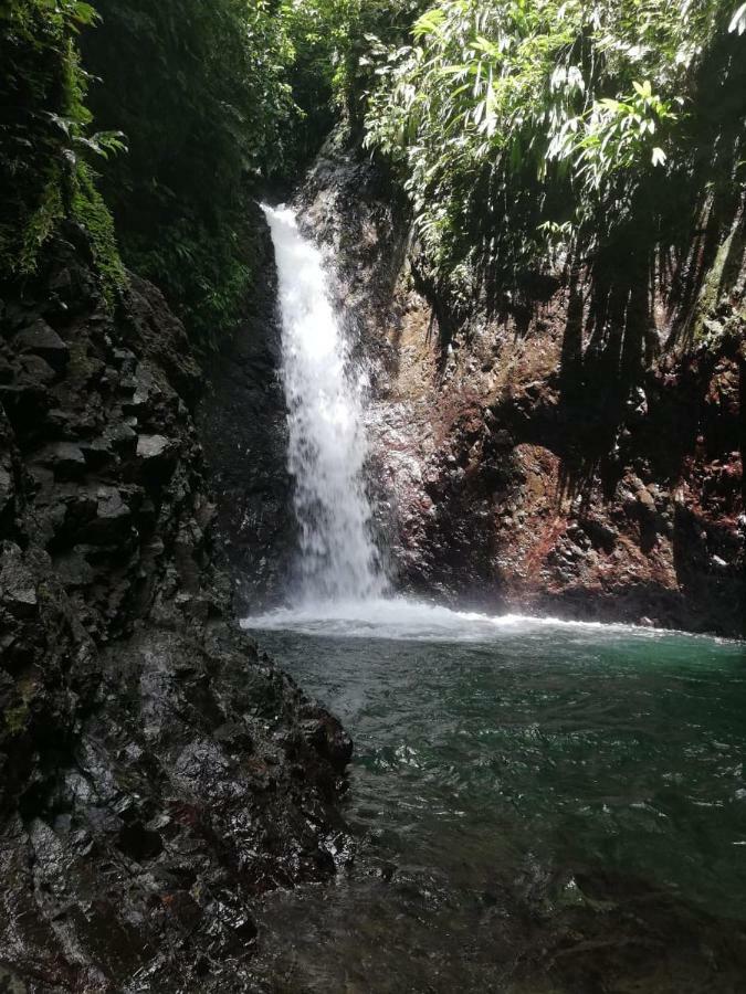 Posada El Acuario 巴亚索拉诺 外观 照片